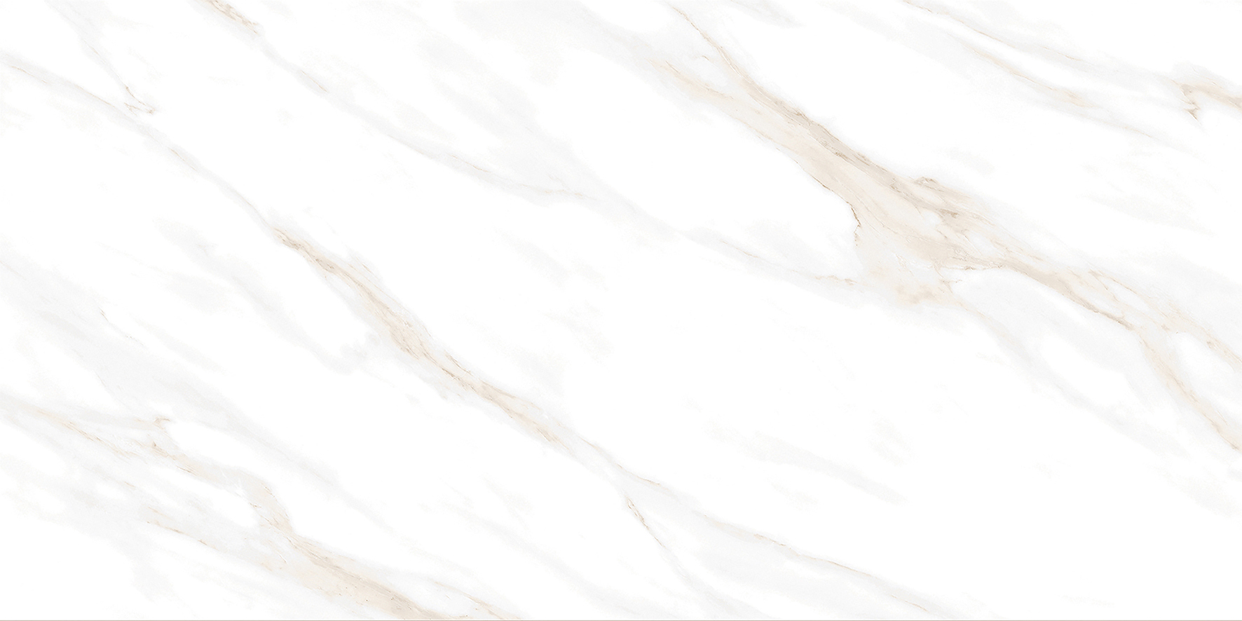 Calacatta Clarity Gold Керамогранит белый 60х120 Матовый