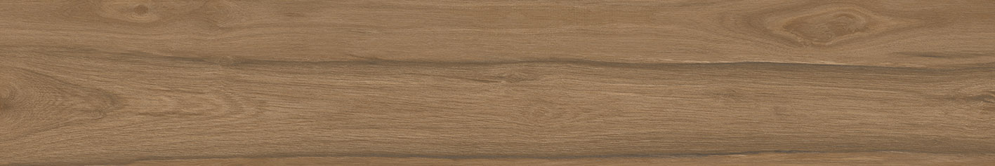 Selva керамогранит коричневый SG517720R 20х119,5