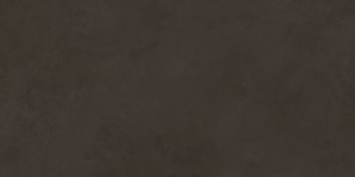 Evolution marron Плитка настенная 48036R 40x80 матовый обрезной