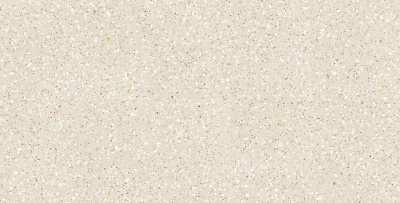 CM02 60x120x10 Непол.Рект.