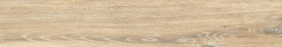 BG 02 19,4x120 неполир