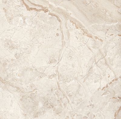 Брич Сильвер Керамогранит светло-серый 60х60 полированный