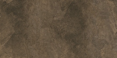 Про Стоун Керамогранит коричневый обрезной DD503920R 60x119,5