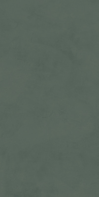Про Чементо Керамогранит зелёный матовый обрезной DD507420R 60x119,5