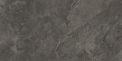 Портер Браун ПРО Керамогранит корич. LP6012G0161R 59,5х119,1 матовый структурный+гл.чернила R10/B КР