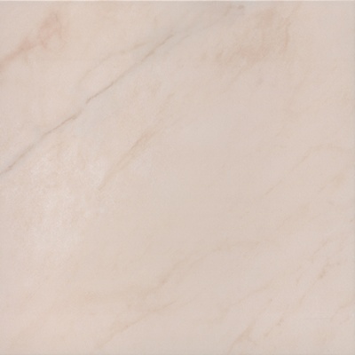 Флораль беж SG160800N 40,2x40,2