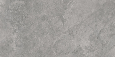 Porter Gray Керамогранит серый LP6012G0181R 59,5х119,1 матовый