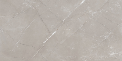 Витрум Гриджио Керамогранит серый 60х120 полированный