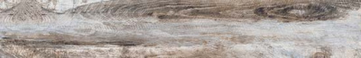 SP 03 - 194x1200