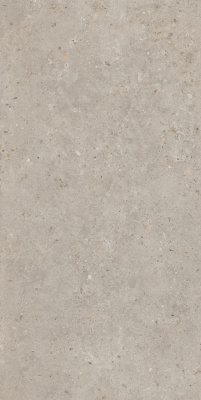 Риккарди Керамогранит бежевый матовый обрезной SG540620R 60x119,5