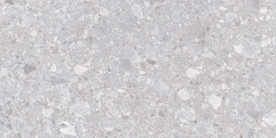 Матрикс Керамогранит светло-серый K952681R0001LPEP 60х120