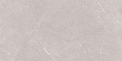 Stone Sovereign Керамогранит серый 60х120 Матовый