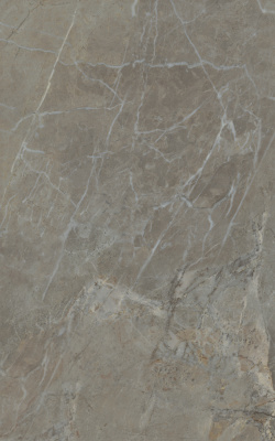 Кантата серый глянцевый 6431 25x40