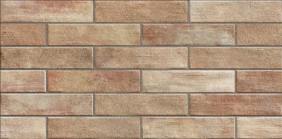 Bricks глаз. керамогранит бежевый (C-BC4L012D)  29,7x59,8